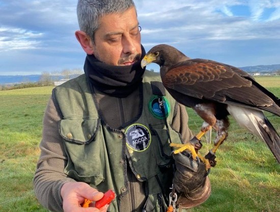 Imagen noticia COÑECENDO O TERRA CHÁ!