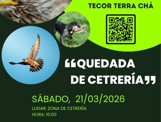 Imagen noticia Quedada de Cetrería no Tecor Terra Chá!