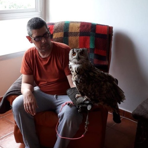 Imagen 10 COÑECENDO O TERRA CHÁ!