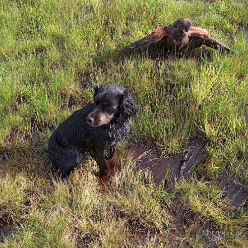 Imagen 5 COÑECENDO O TERRA CHÁ!