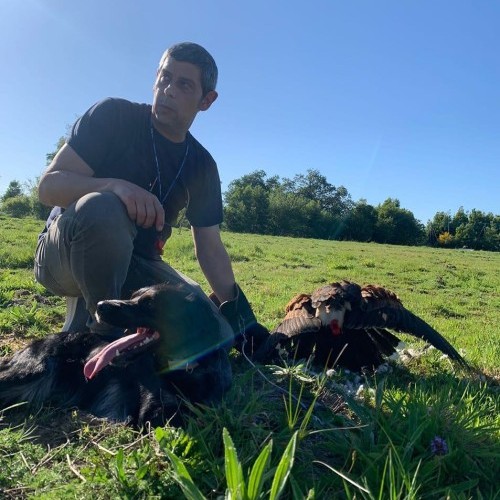 Imagen 2 COÑECENDO O TERRA CHÁ!