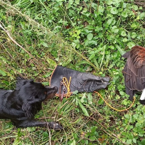 Imagen 3 COÑECENDO O TERRA CHÁ!