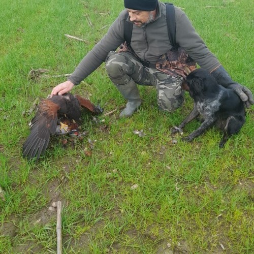 Imagen 6 COÑECENDO O TERRA CHÁ!