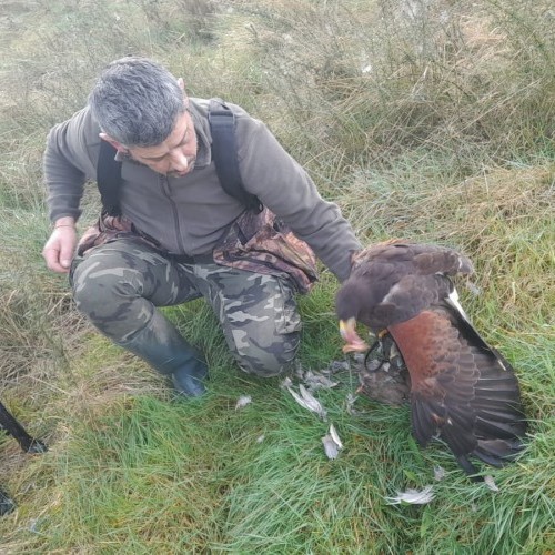 Imagen 1 COÑECENDO O TERRA CHÁ!