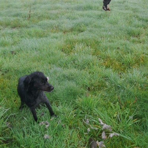 Imagen 8 COÑECENDO O TERRA CHÁ!