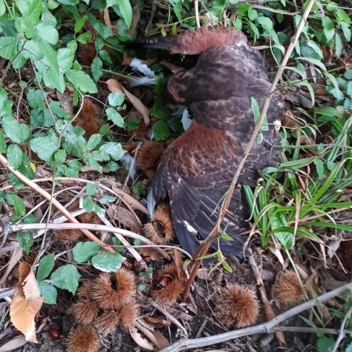 Imagen 3 INICIO DE TEMPADA PASADO POR AUGA