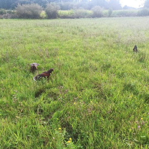Imagen 5 INICIO DE TEMPADA PASADO POR AUGA