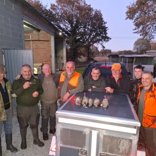 Imagen 4 COÑECENDO O TERRA CHÁ!