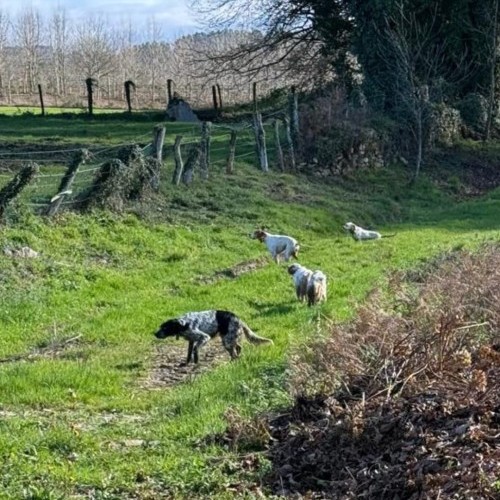 Imagen 1 Balance da tempada de caza 2025/2026 no Tecor Terra Chá