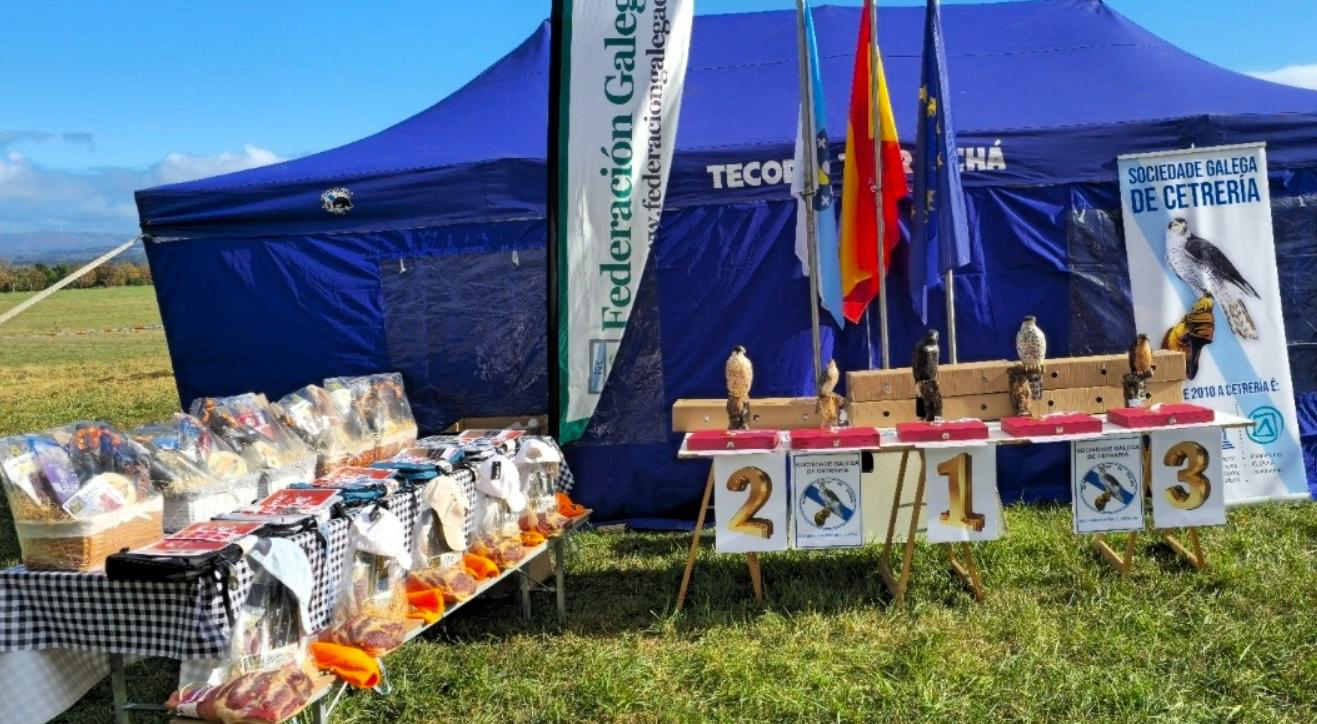 Foto noticia Cetreiros na Terra Chá: Unha fin de semana de voo e paixón pola natureza