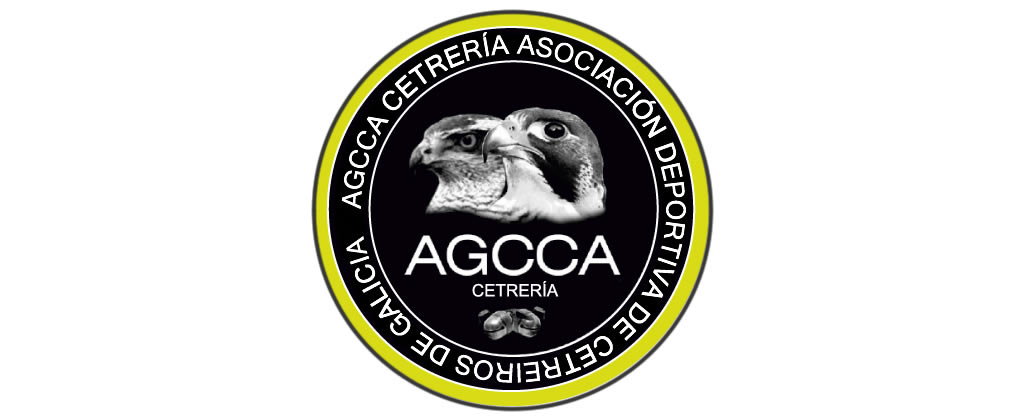 Foto noticia Entrevista a Carlos Gallego Presidente de la AGCCA Cetrería - Asociación Deportiva de Cetreiros de Galicia.